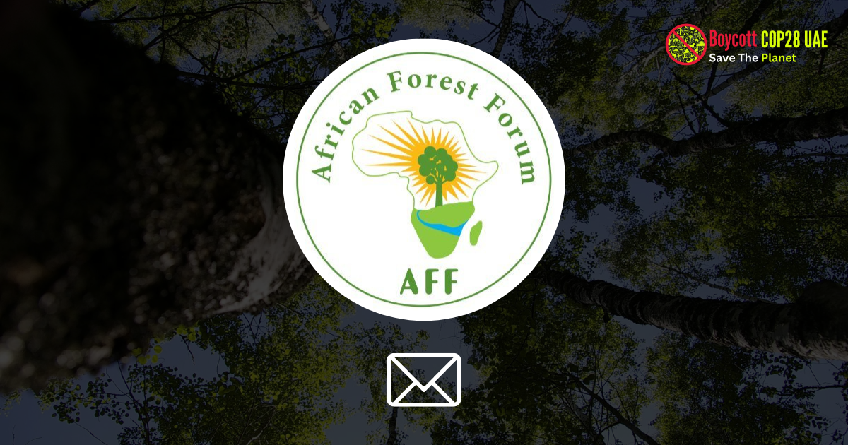 African Forest Forum