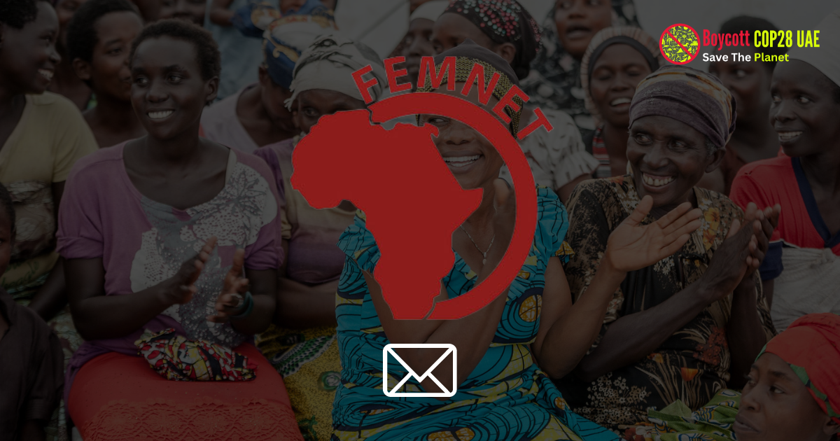 African Women’s Development and Communication Network - FEMNET*