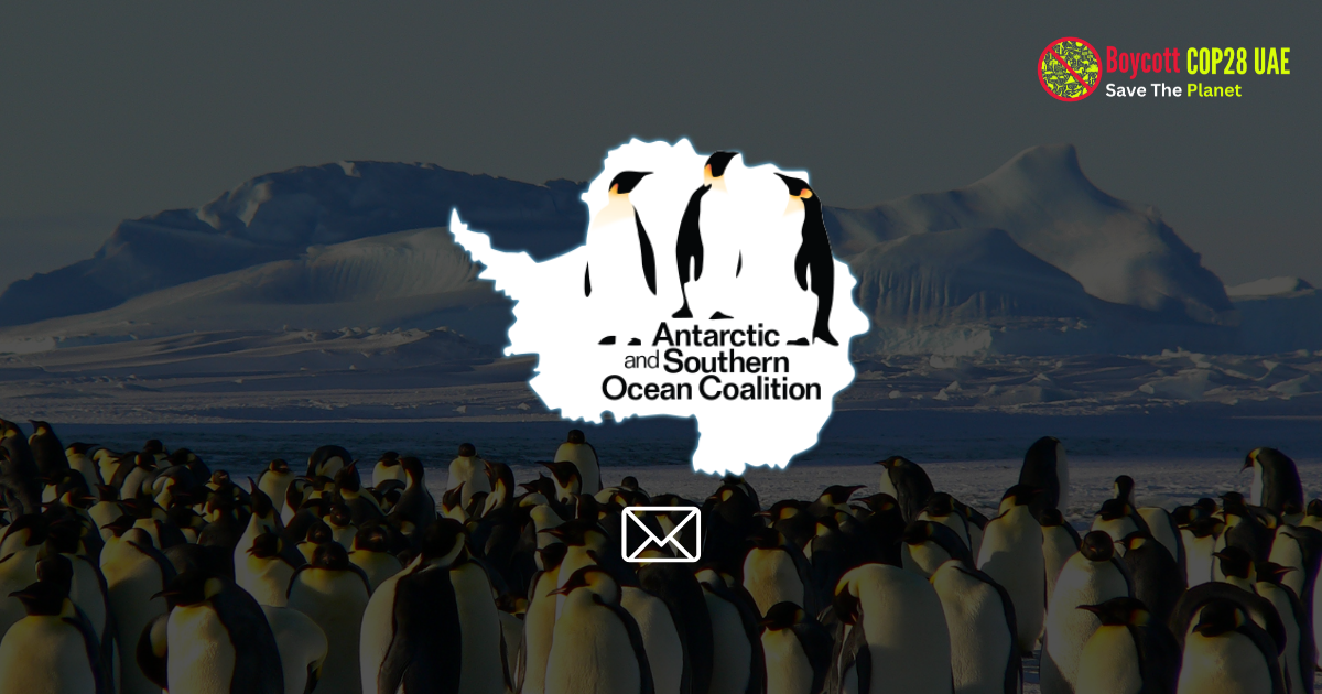 cop28 and Antarctic and Southern Ocean Coalition