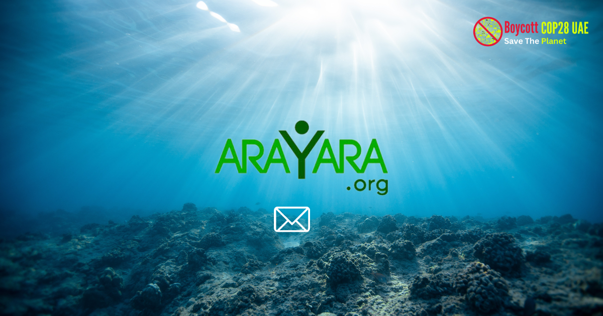 Arayara International Institute