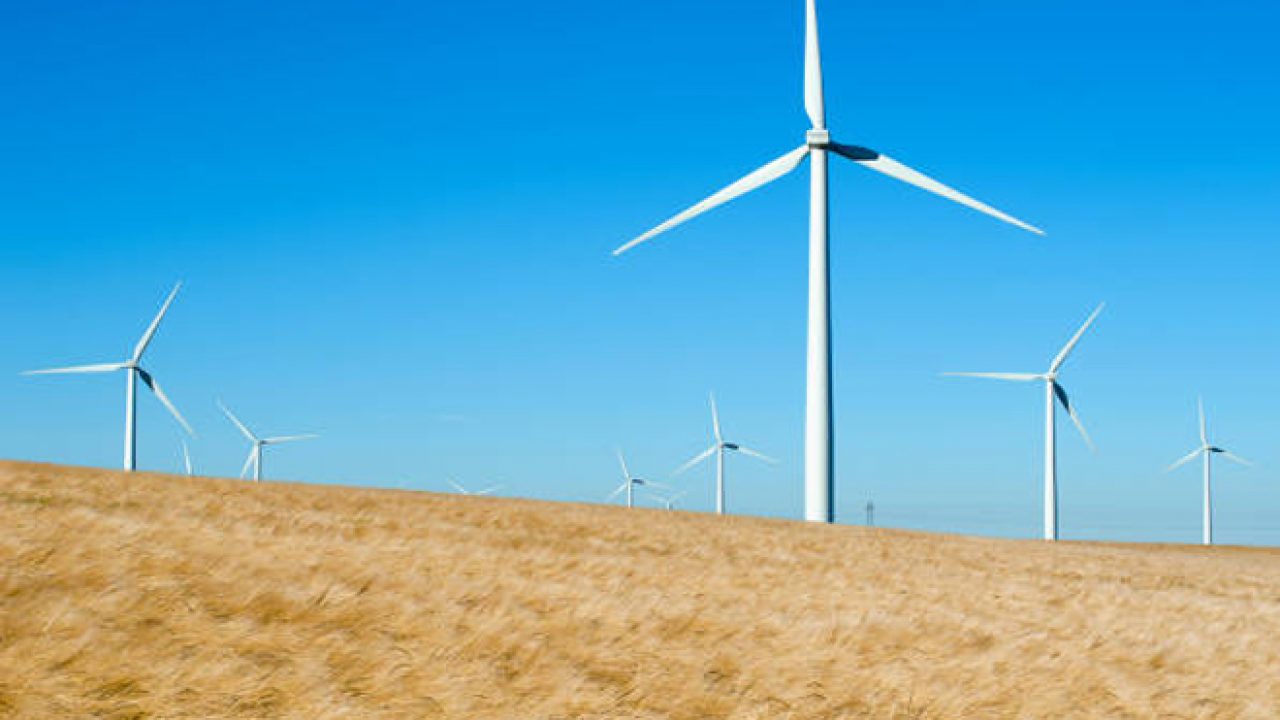 Climate Resilient Green Economy