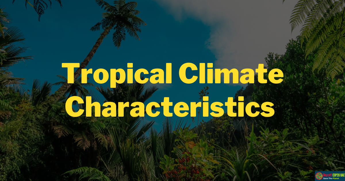 Tropical Climate Characteristics