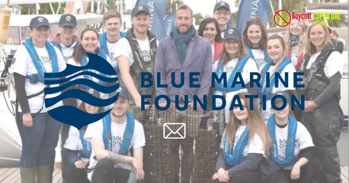 Blue Marine Foundation