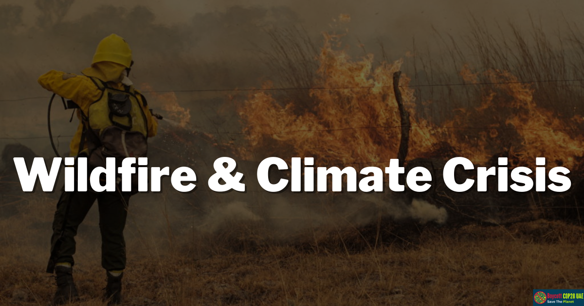 We Are The Wildfire: How To Fight The Climate Crisis?