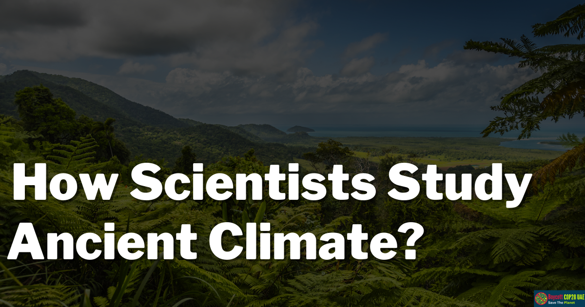 How Do Scientists Use Ice To Study Ancient Climates? Exploring Different Facts