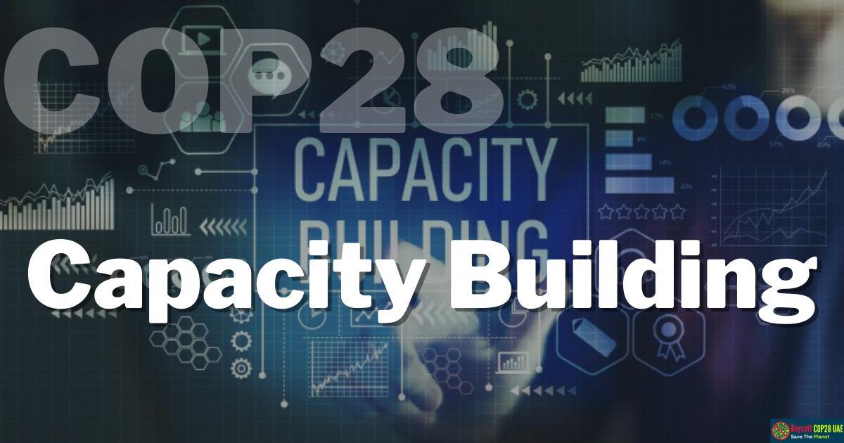 Capacity Building