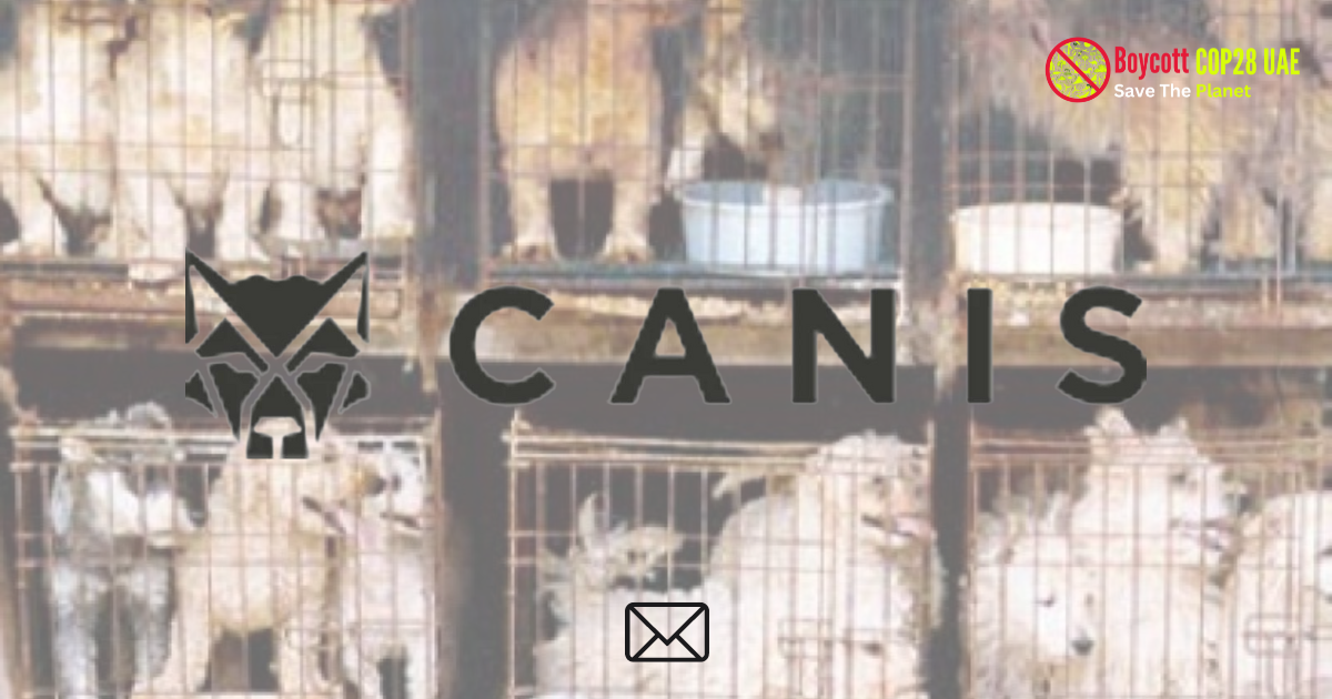 Canis Ethica