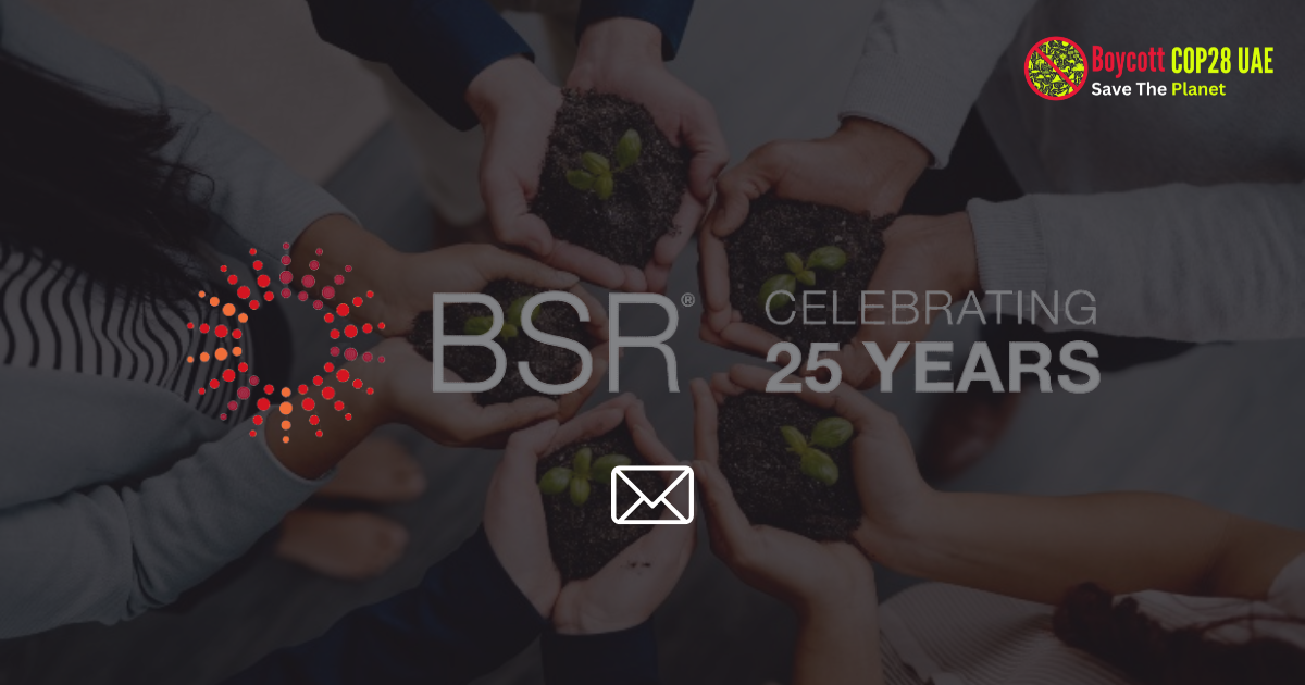 business for social responsibility