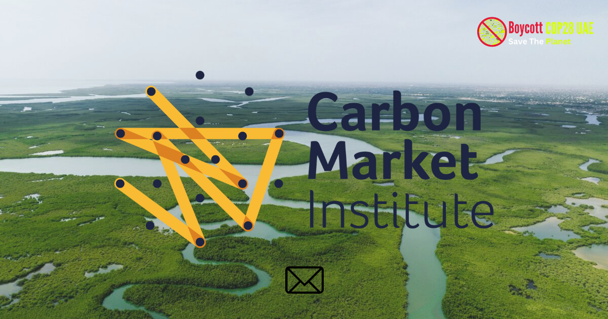 carbon market institute limited