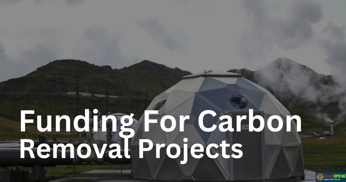 Major Funding Boost for Carbon Removal Projects In Texas And Louisiana To Combat Climate Change